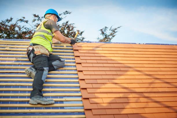 Best Skylight Installation and Repair  in South Creek, WA